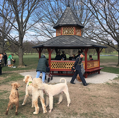 Dogs and people on the dog island