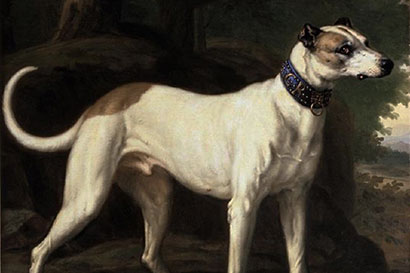 King Karl XI's dog Turck
